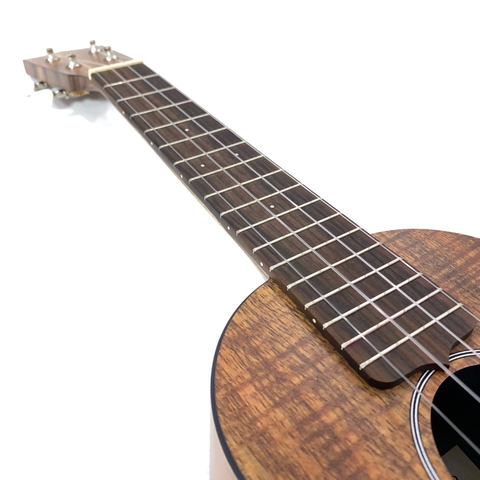 MartinOXK Concert #11190 󥵡ȥ(ڥ)