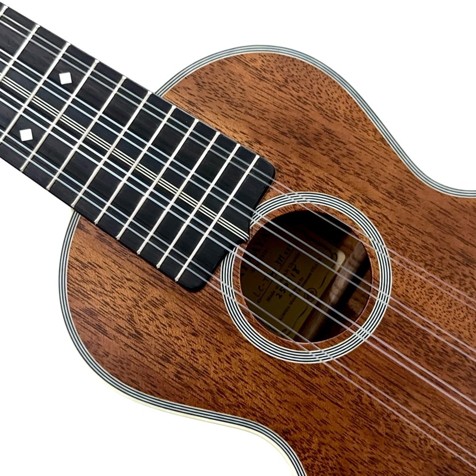 KIWAYALC-TPmv 3Mcst 8󥵡