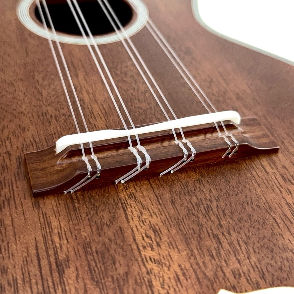 KIWAYALC-TPmv 3Mcst 8󥵡