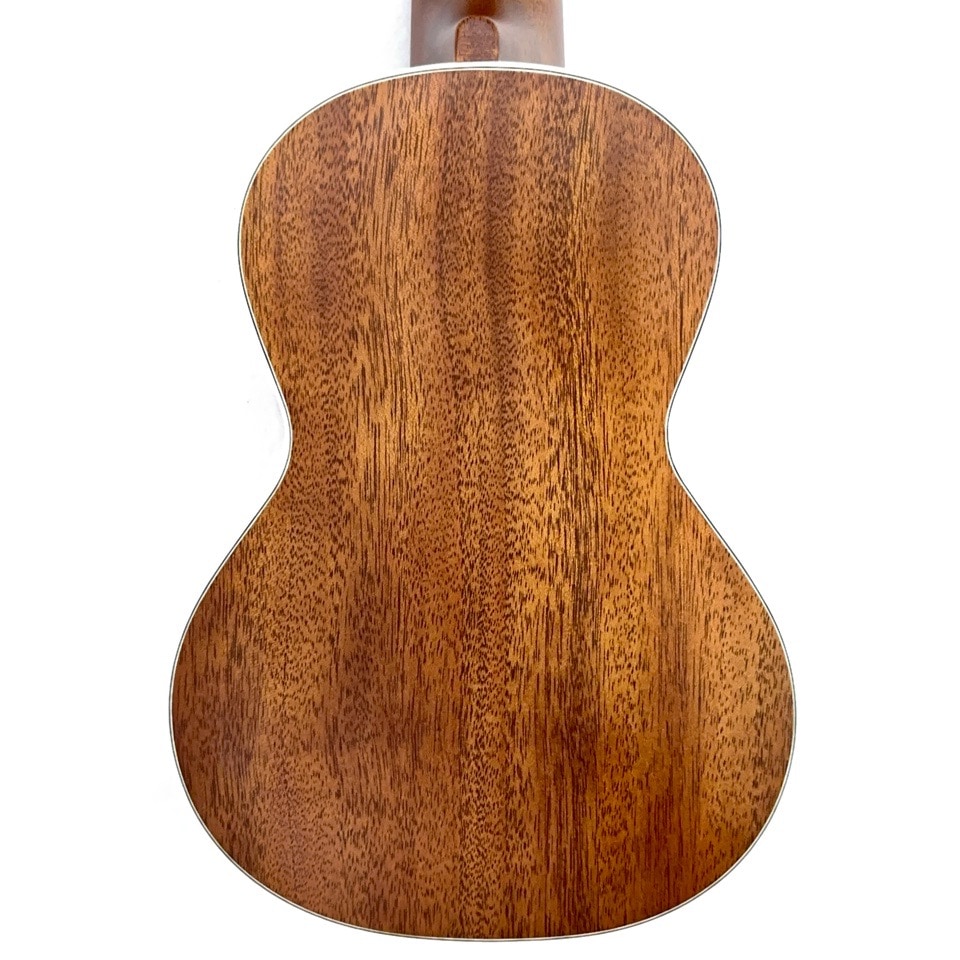 KIWAYALC-TPmv 3Mcst 8󥵡