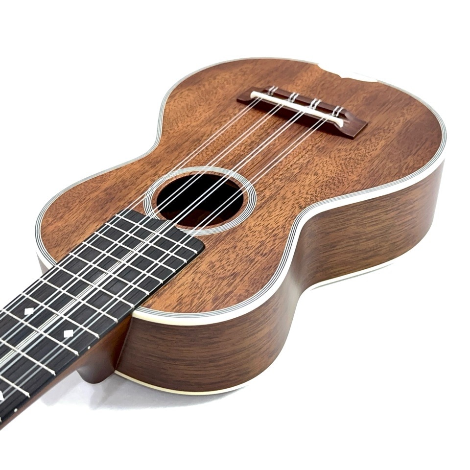 KIWAYALC-TPmv 3Mcst 8󥵡