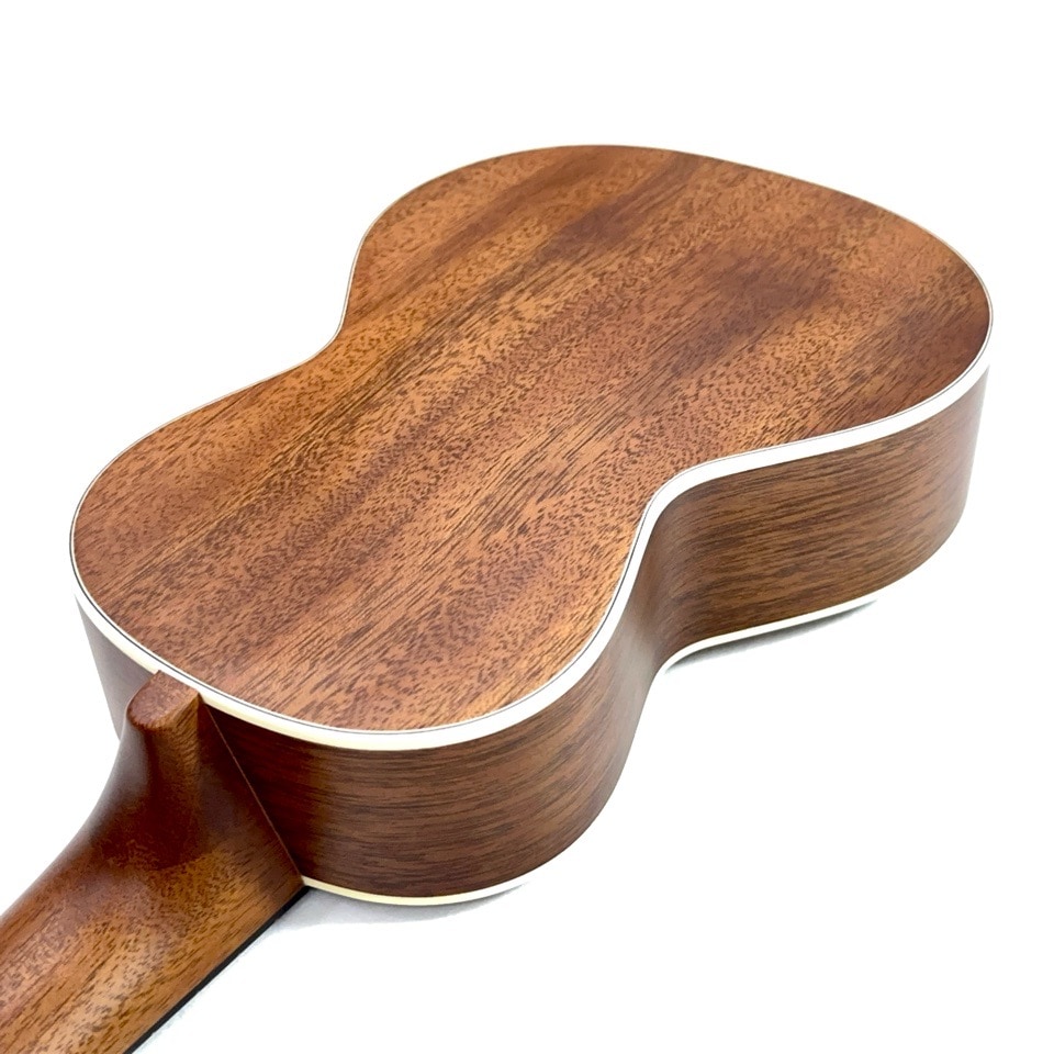 KIWAYALC-TPmv 3Mcst 8󥵡