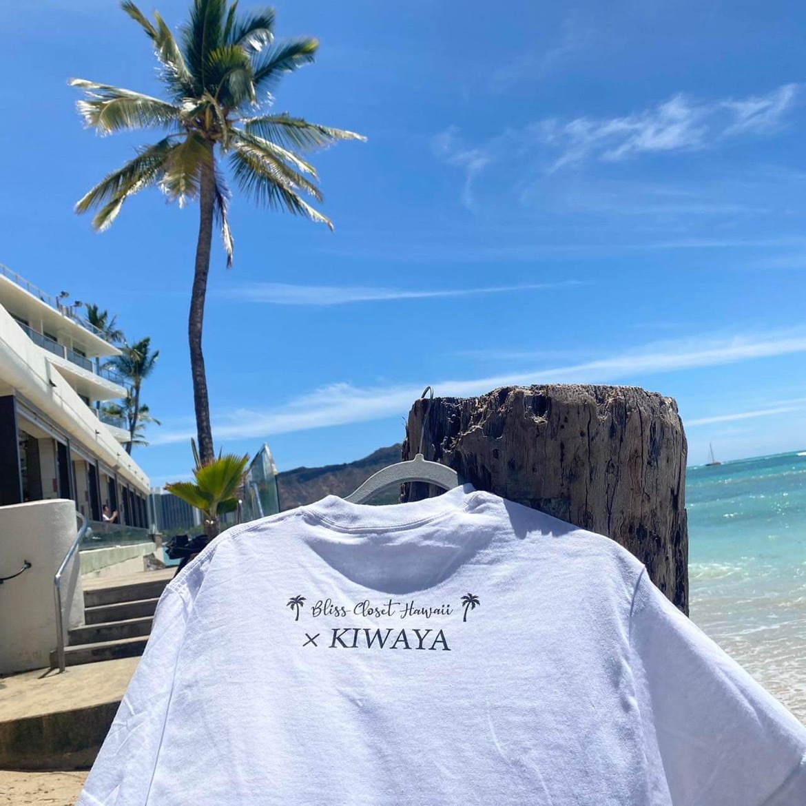 コラボTシャツ】 Bliss Closet Hawaii × KIWAYA ｜ウクレレ専門店