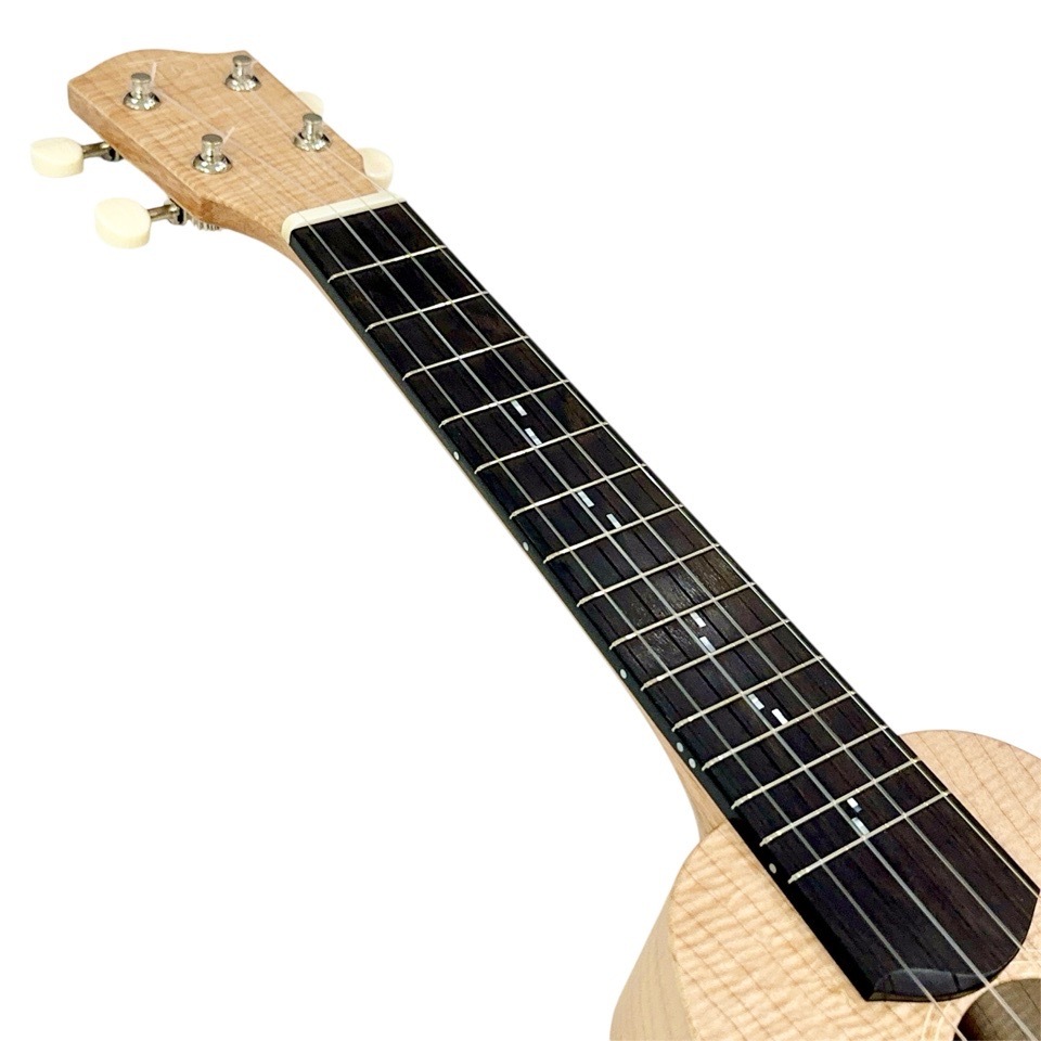 TODA GuitarsPS-364 No.756 ץΥ󥰥ͥå