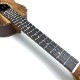 TODA GuitarsVT No.734 ƥʡ
