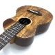 TODA GuitarsVT No.734 ƥʡ