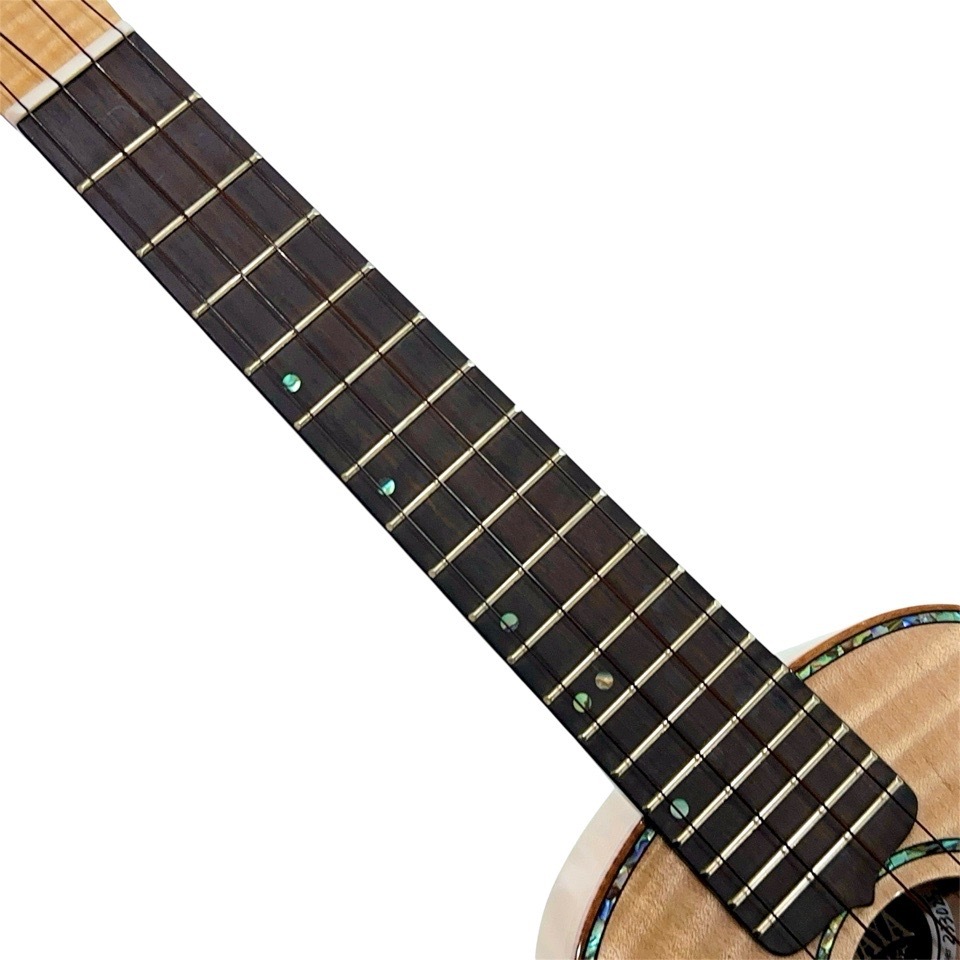 KIWAYAKPC-5MP 󥵡ȥ