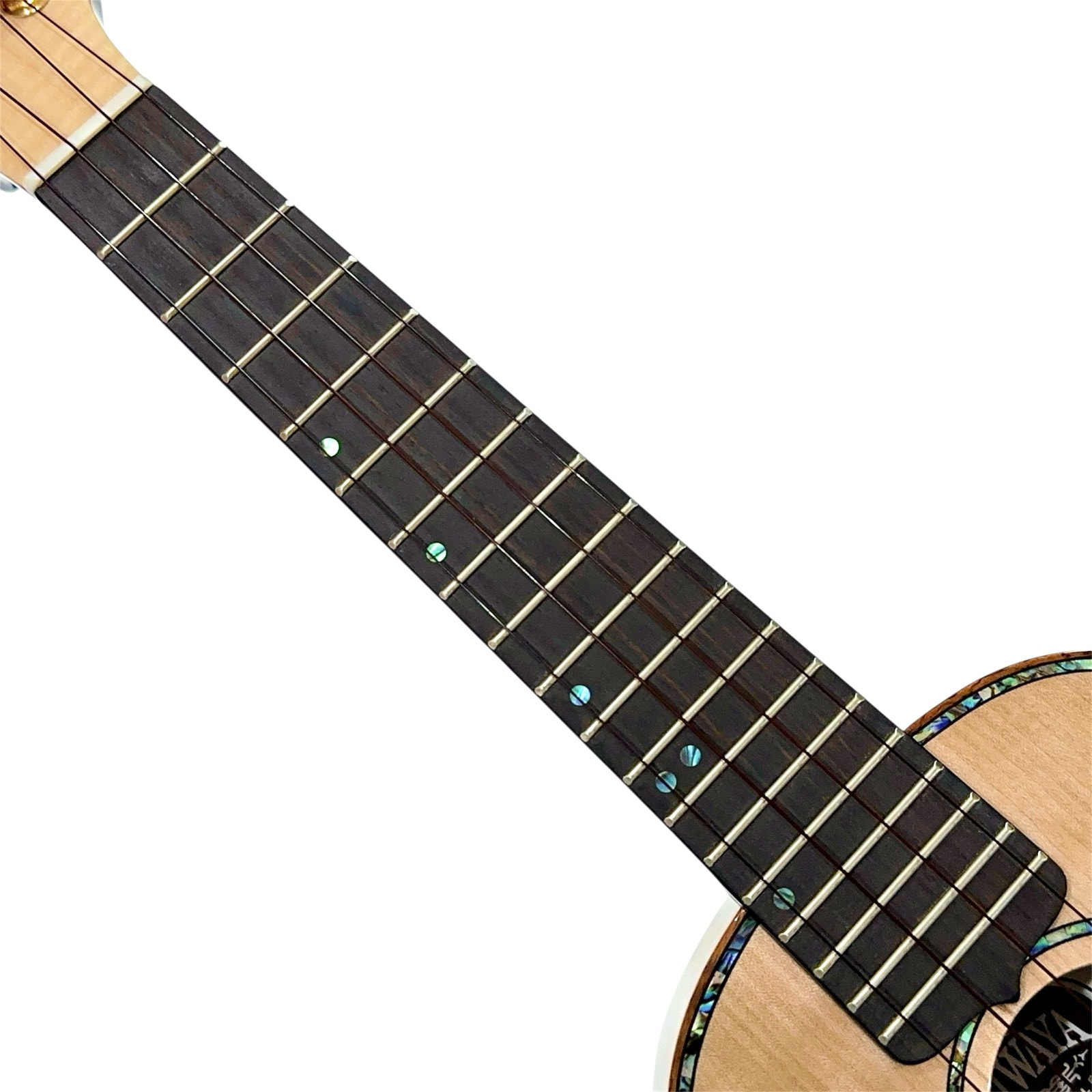 ��KIWAYA��KPC-5MP ���󥵡��ȥ�����