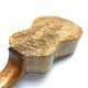 Purity Ukuleletico tc-046 ꥸʥ륽ץΥ