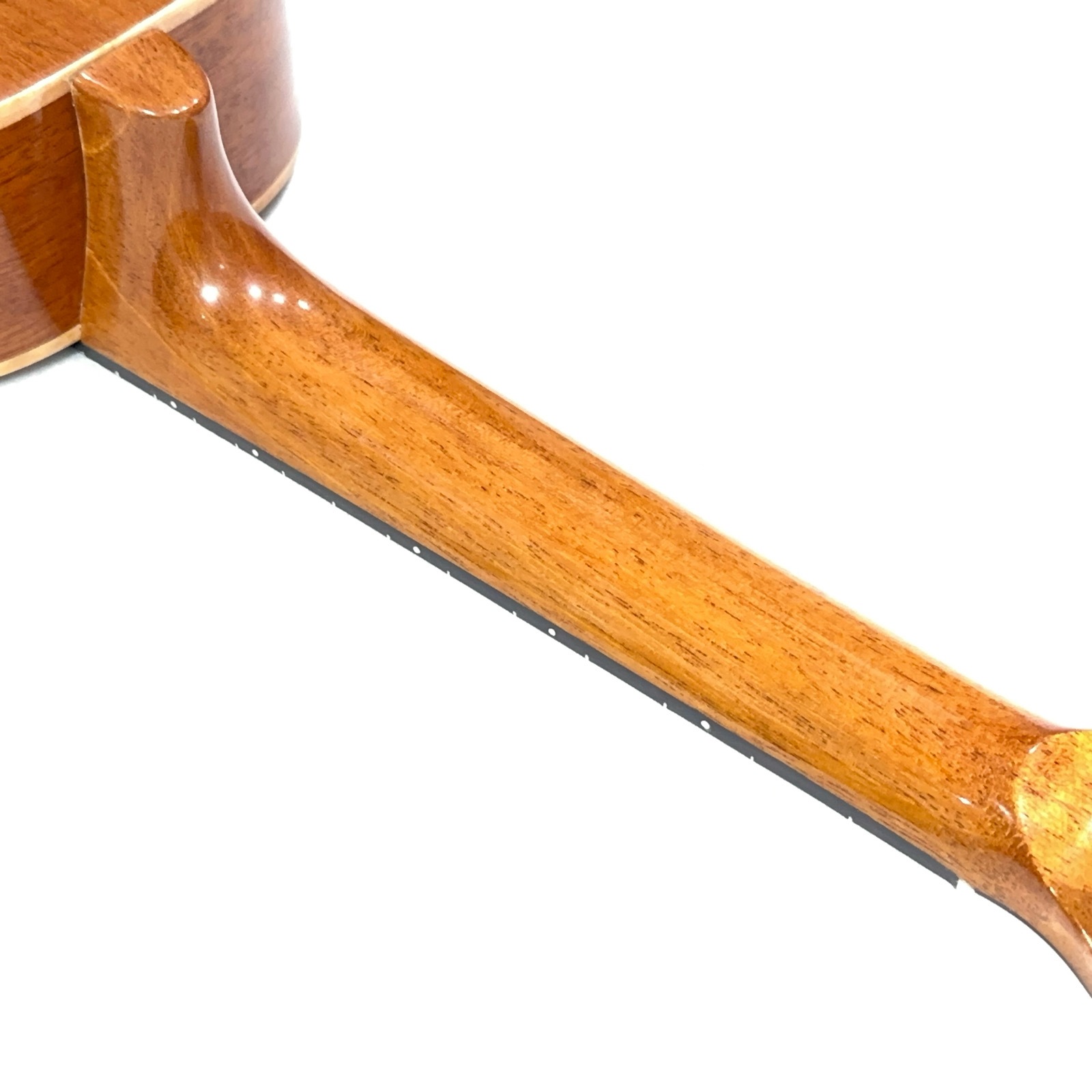 ��̴��Ʋ��No.243 ���󥵡��ȥ�����