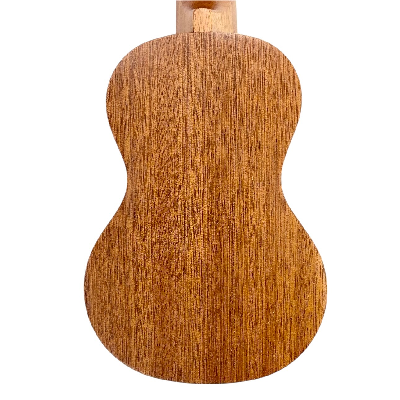 ��Famous��FS-210 ���ץ�Υ�����