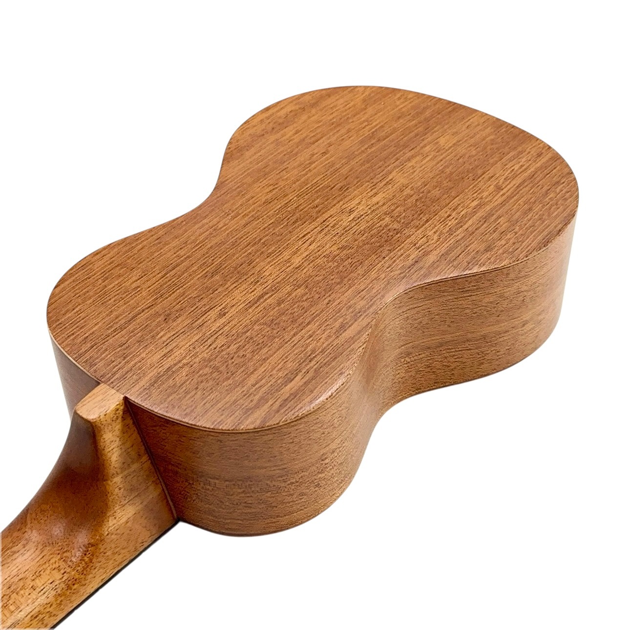 ��Famous��FS-210 ���ץ�Υ�����