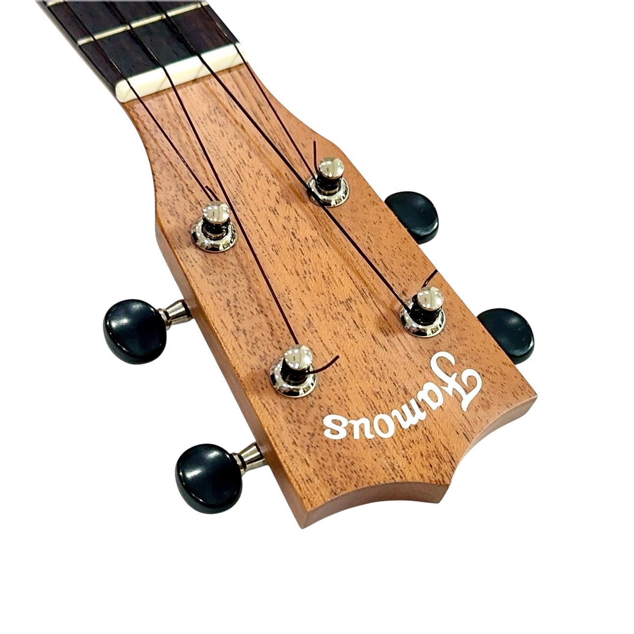 ��Famous��FS-210 ���ץ�Υ�����