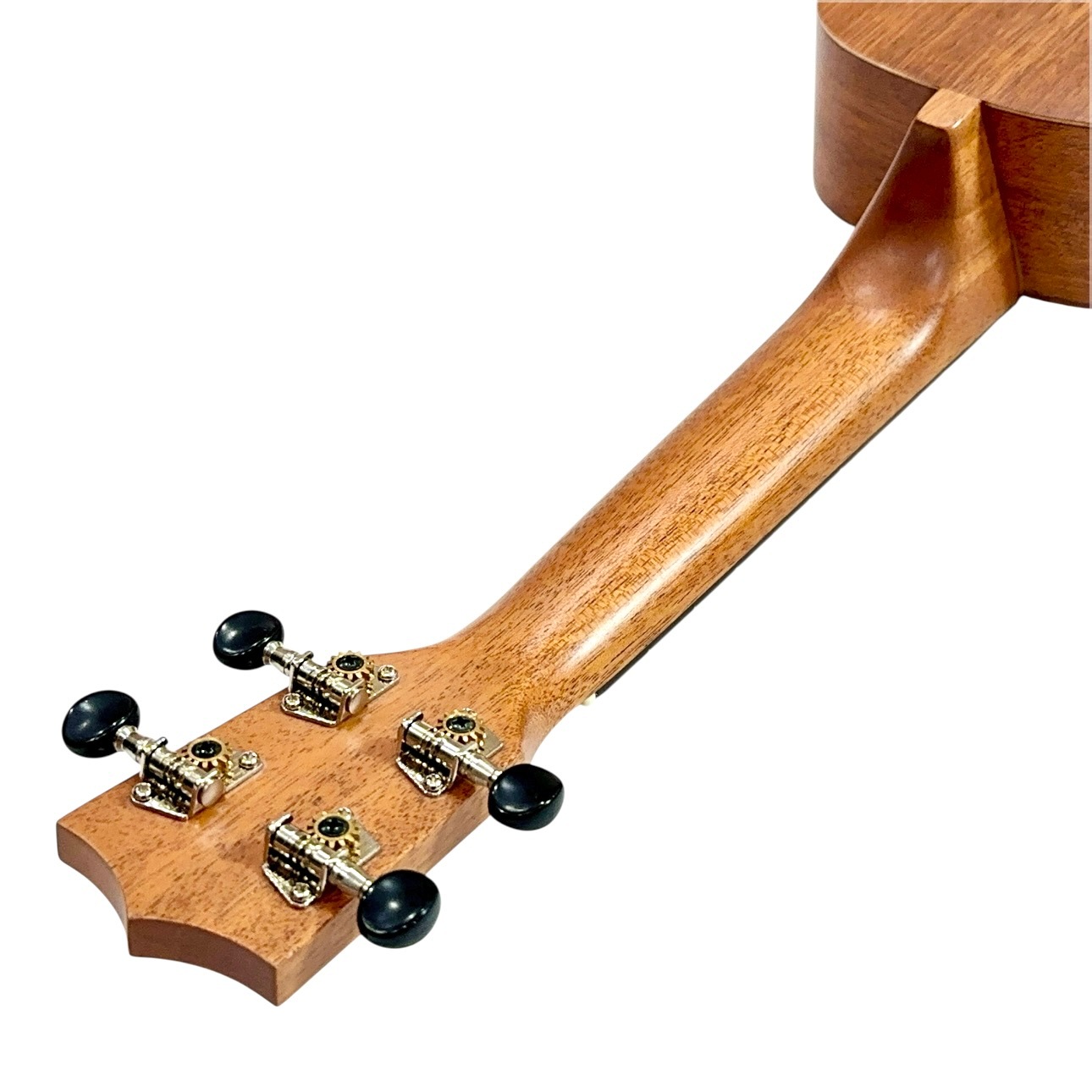 ��Famous��FS-210 ���ץ�Υ�����