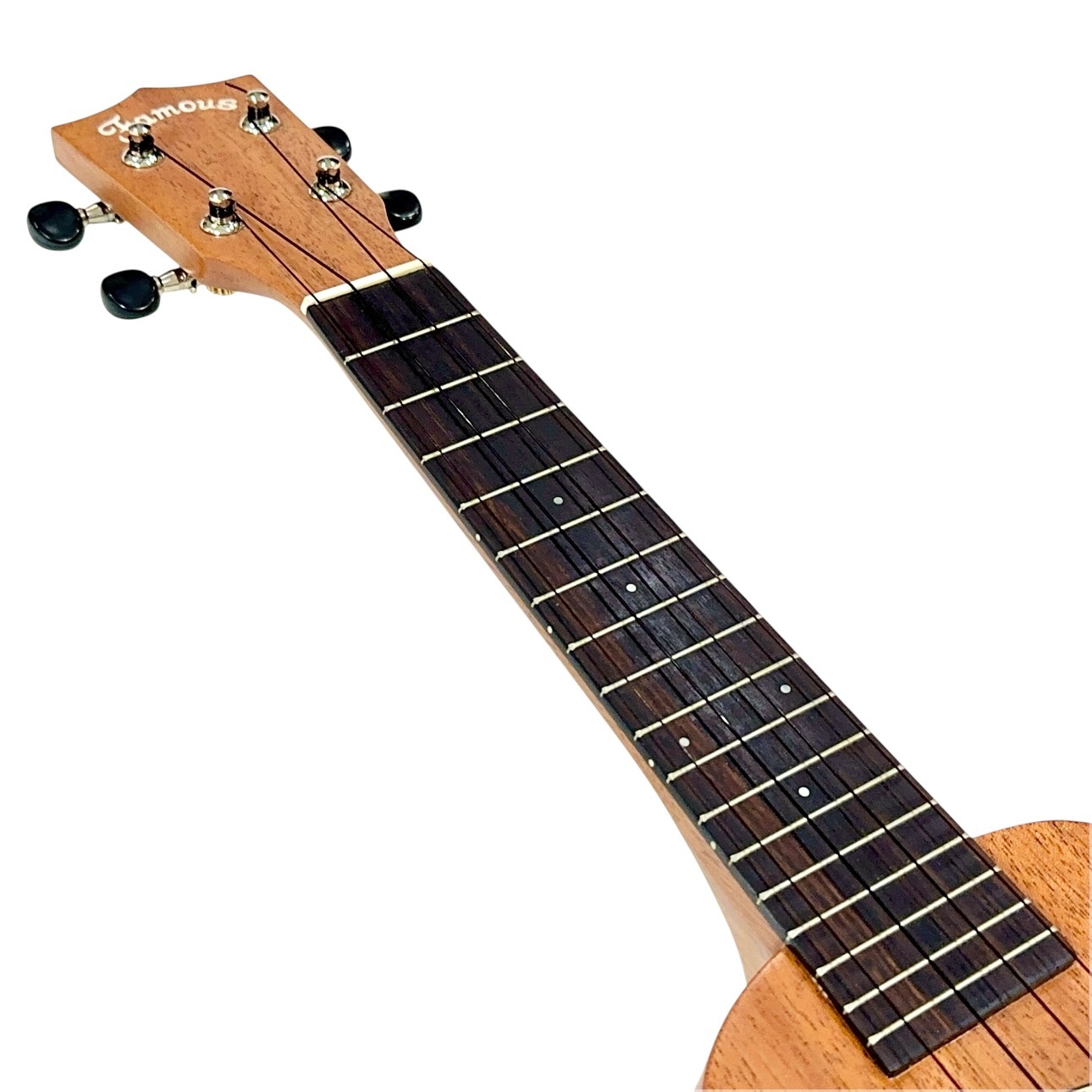 ��Famous��FS-210 ���ץ�Υ�����