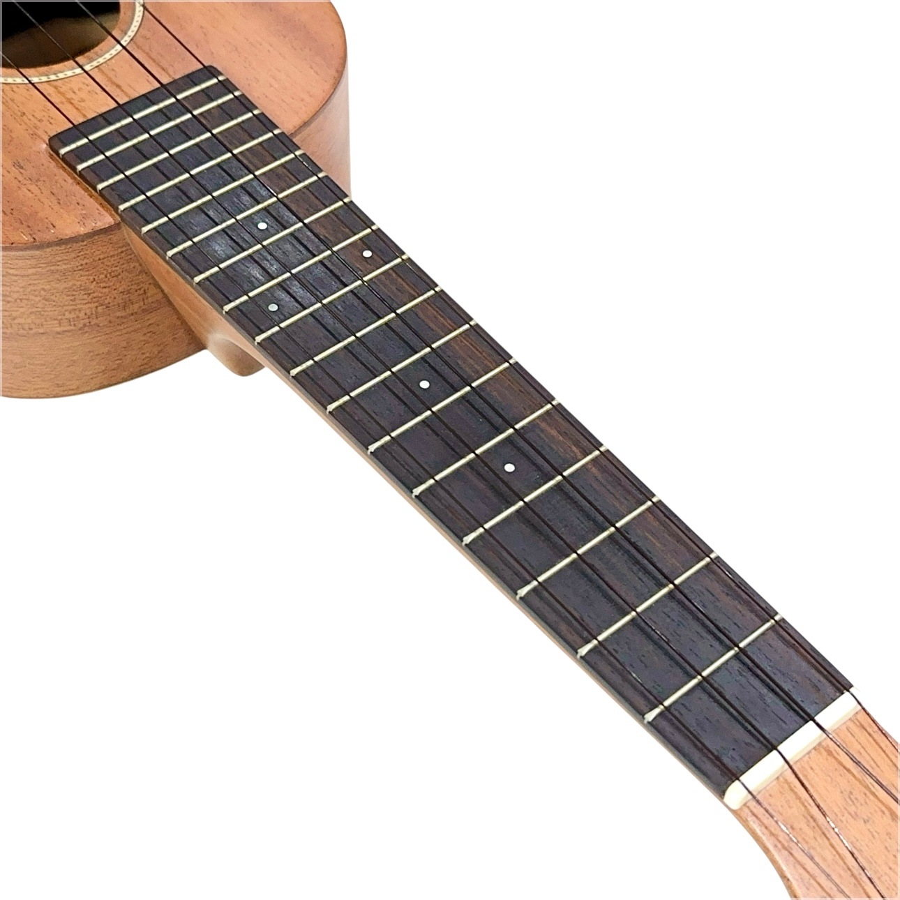 ��Famous��FS-210 ���ץ�Υ�����