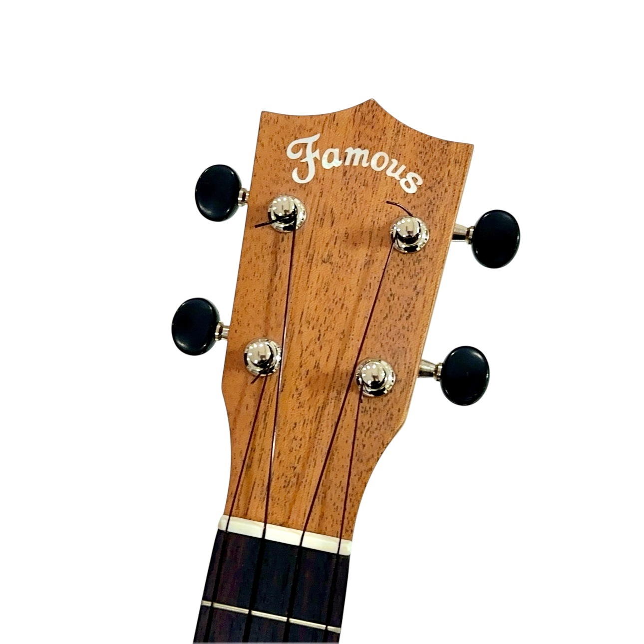 ��Famous��FS-210 ���ץ�Υ�����