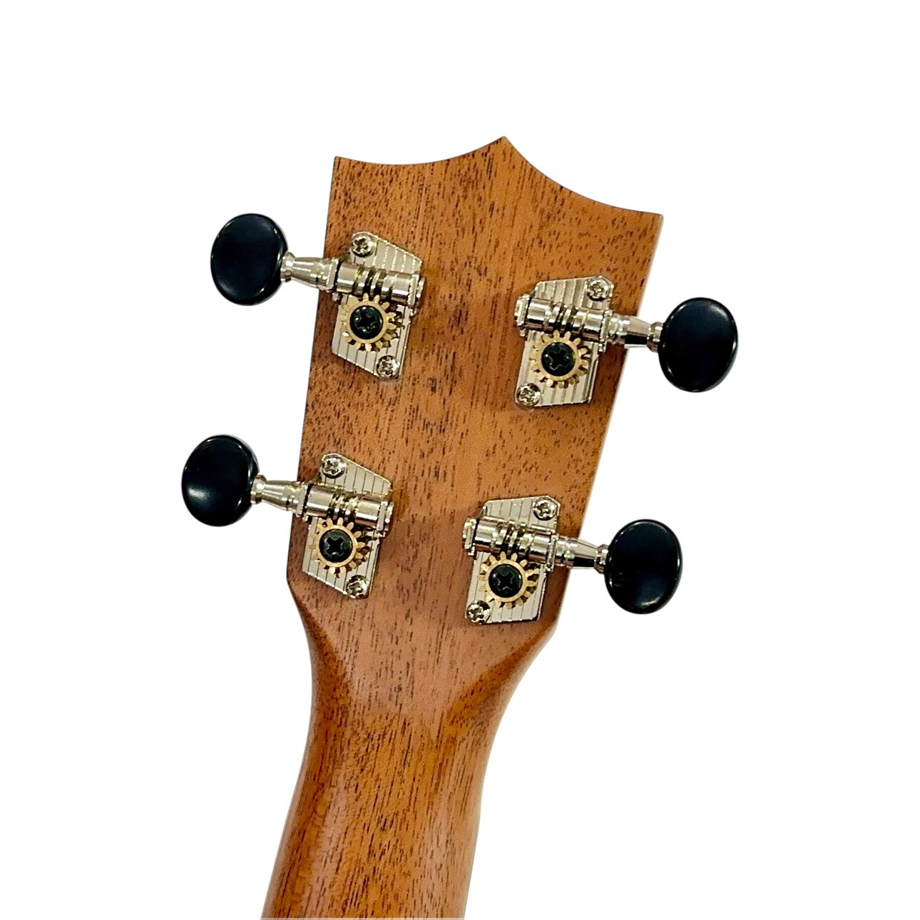 ��Famous��FS-210 ���ץ�Υ�����