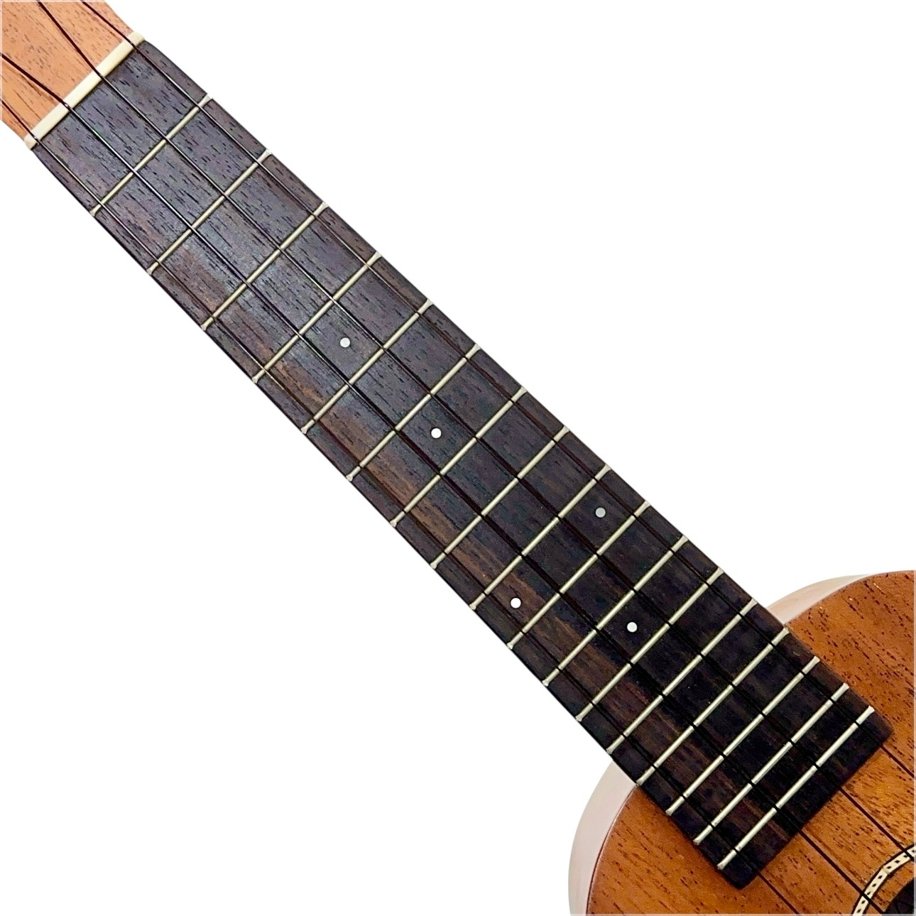 ��Famous��FS-210 ���ץ�Υ�����