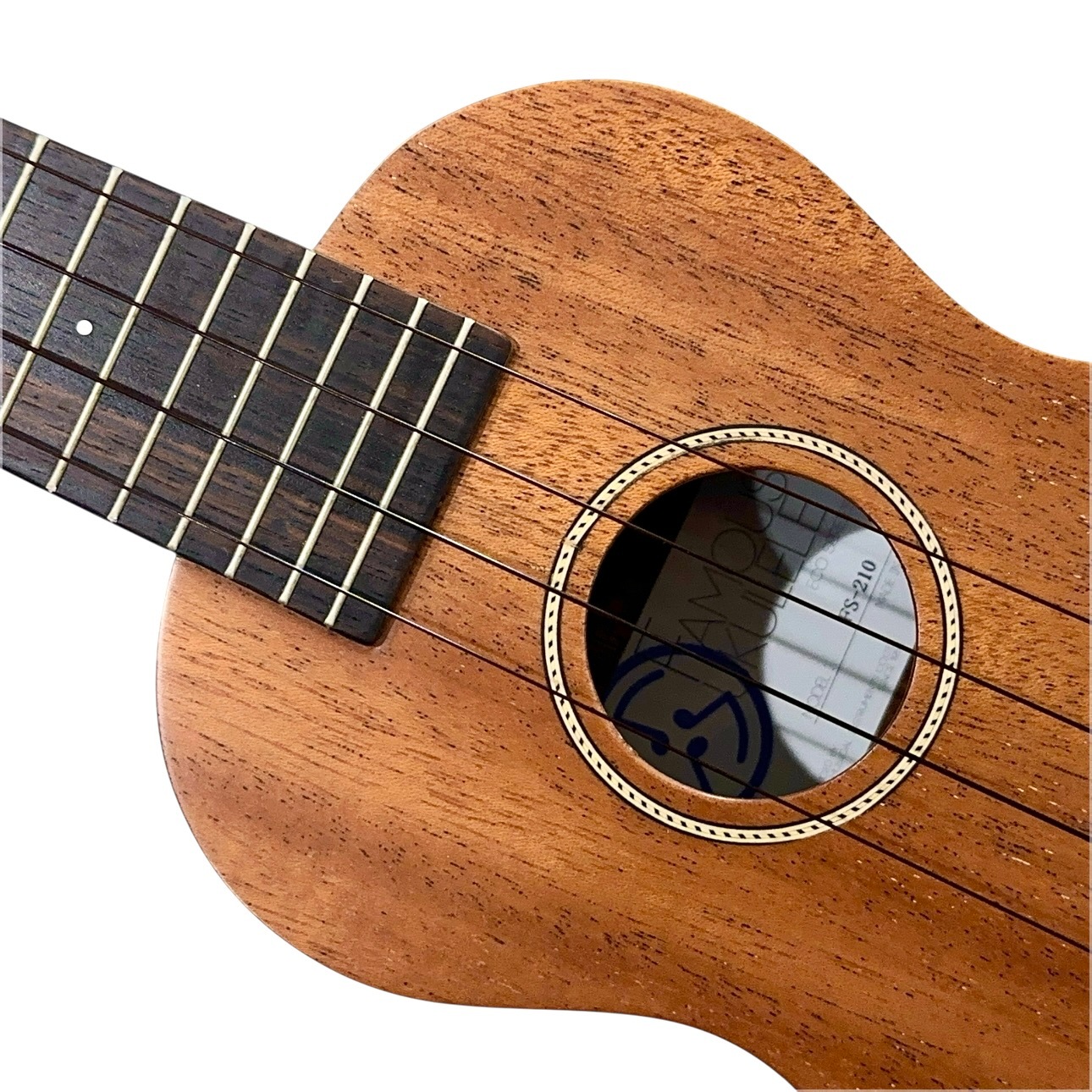 ��Famous��FS-210 ���ץ�Υ�����