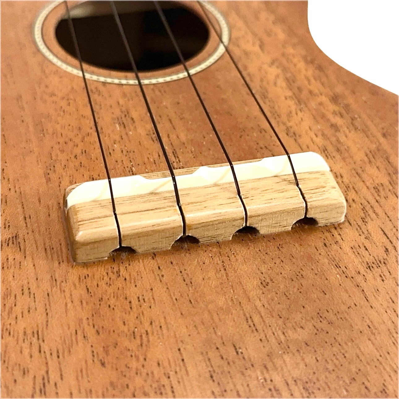 ��Famous��FS-210 ���ץ�Υ�����