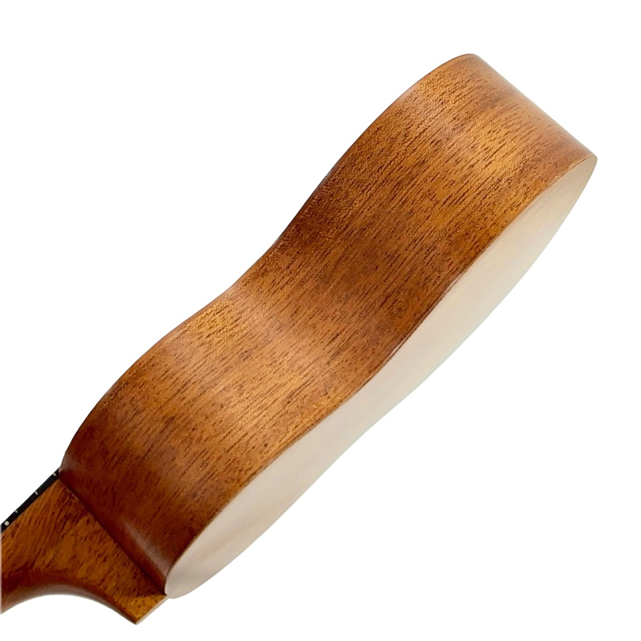 ��Famous��FS-210 ���ץ�Υ�����