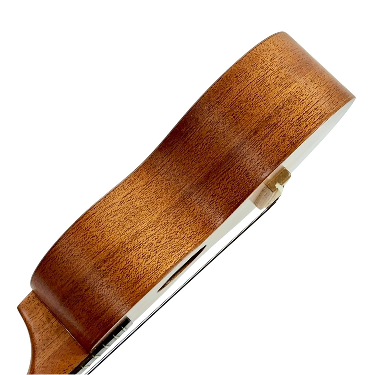 ��Famous��FS-210 ���ץ�Υ�����