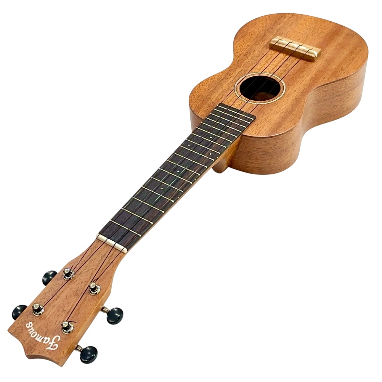 ��Famous��FS-210 ���ץ�Υ�����