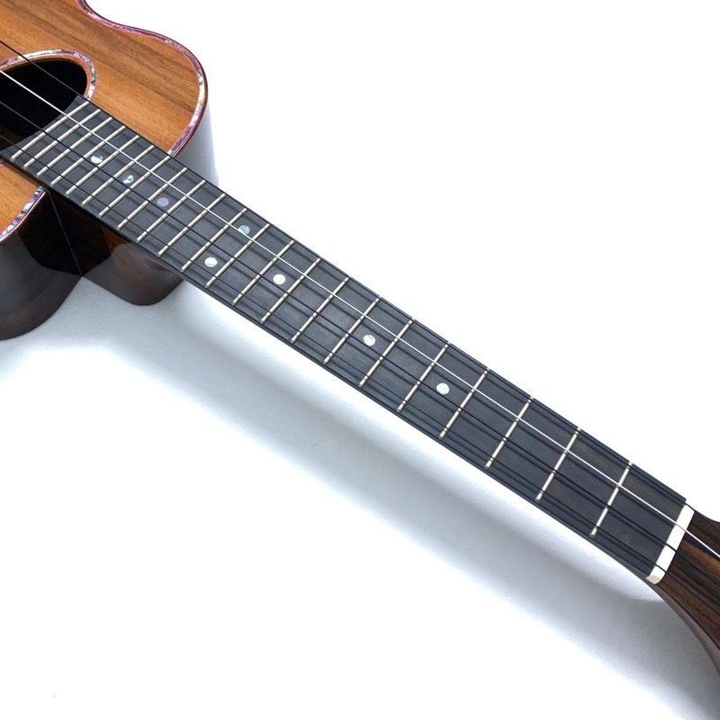 ��SHIMO GUITARS��Surf Special #857���ƥʡ�������