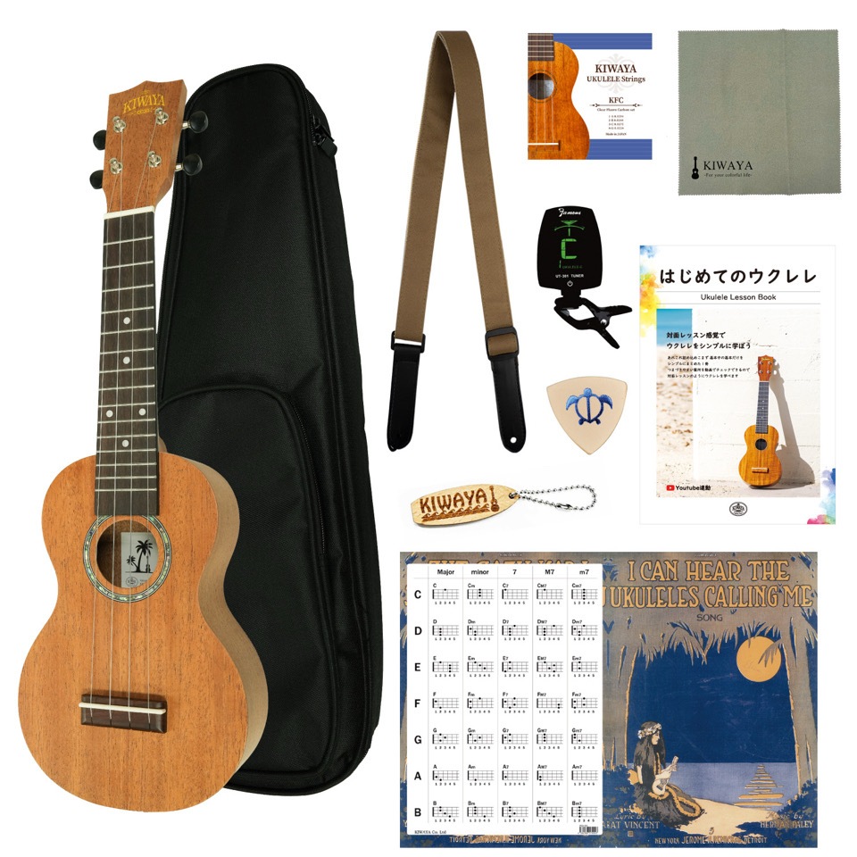 ��KIWAYA��KSU-2 (10�����å�) ���ץ�Υ�����