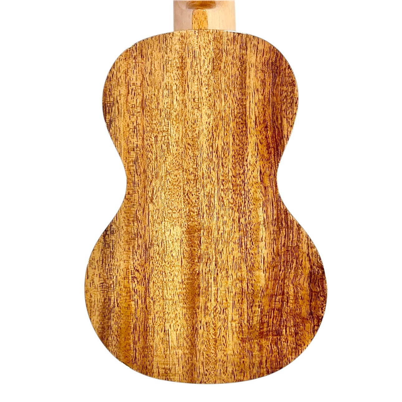 ��Famous��FS-220 ���ץ�Υ�����