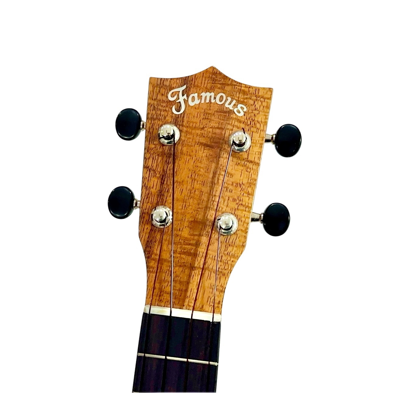 ��Famous��FS-220 ���ץ�Υ�����