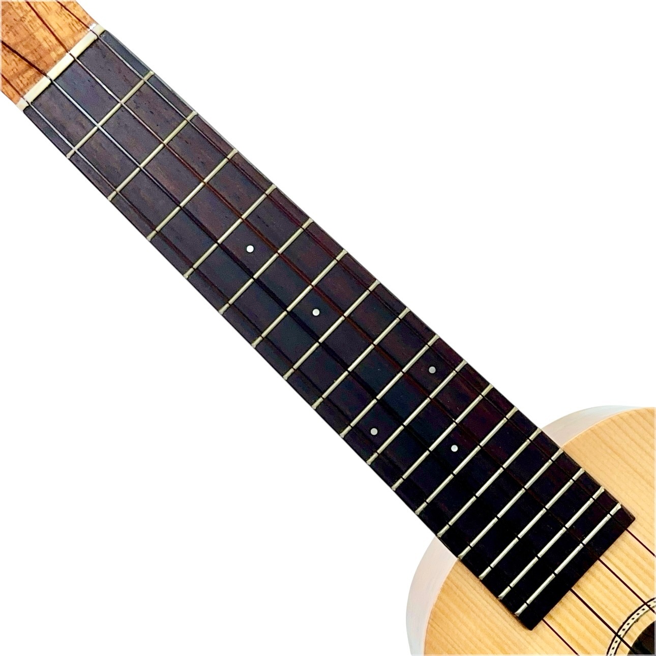 ��Famous��FS-220 ���ץ�Υ�����