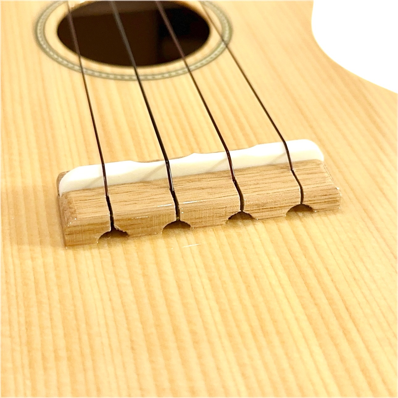 ��Famous��FS-220 ���ץ�Υ�����