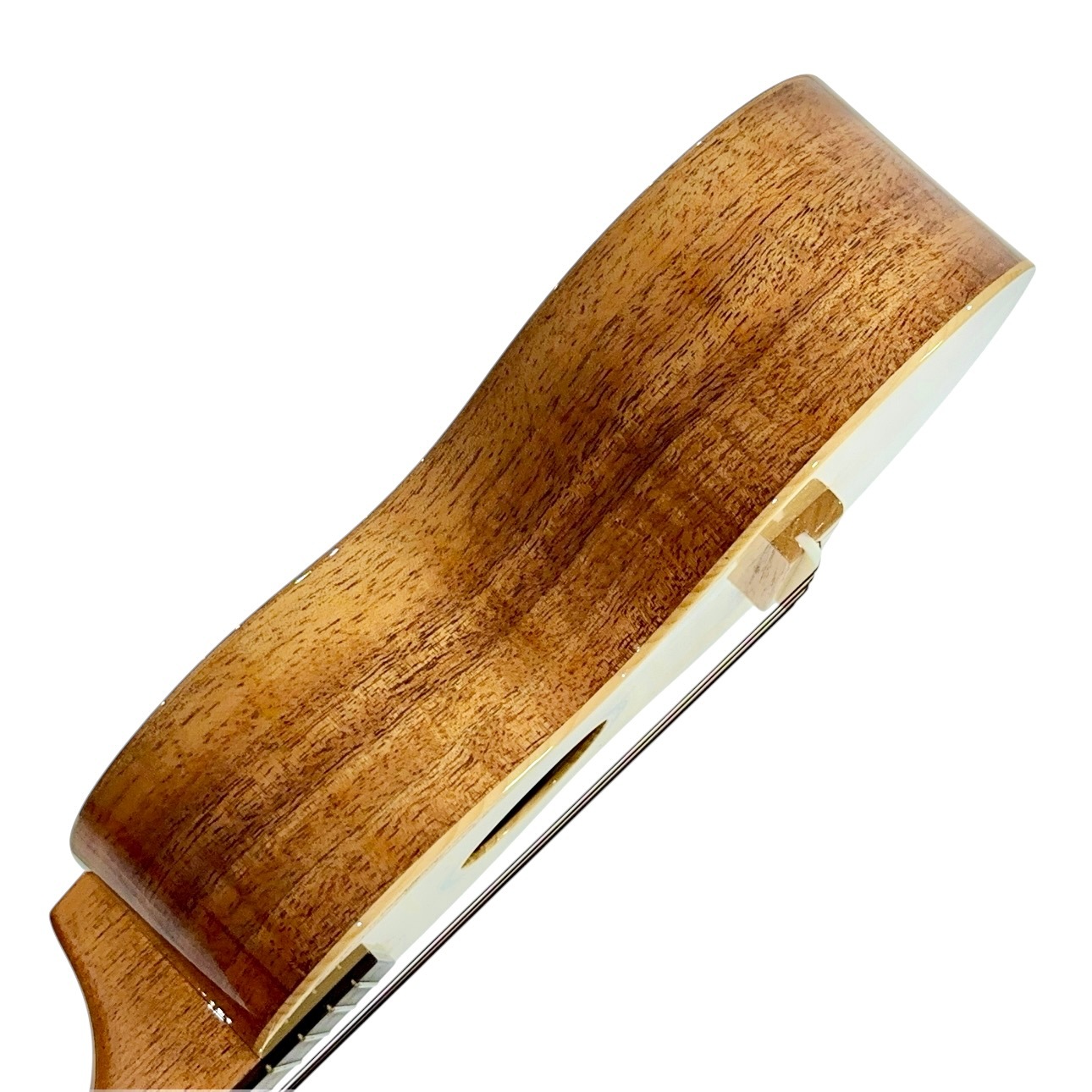 ��Famous��FS-220 ���ץ�Υ�����
