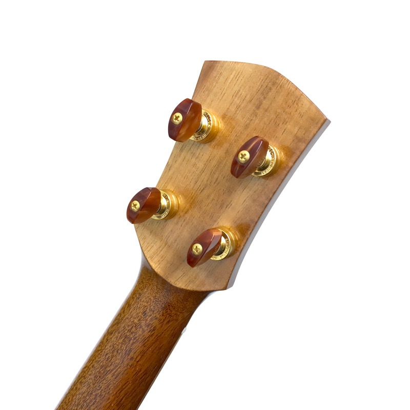 新品　エレキウクレレテナーサイズ　Bondi Ukuleles Amazon.co.jp: BONDI UKULELES スポルテッド メイプル材