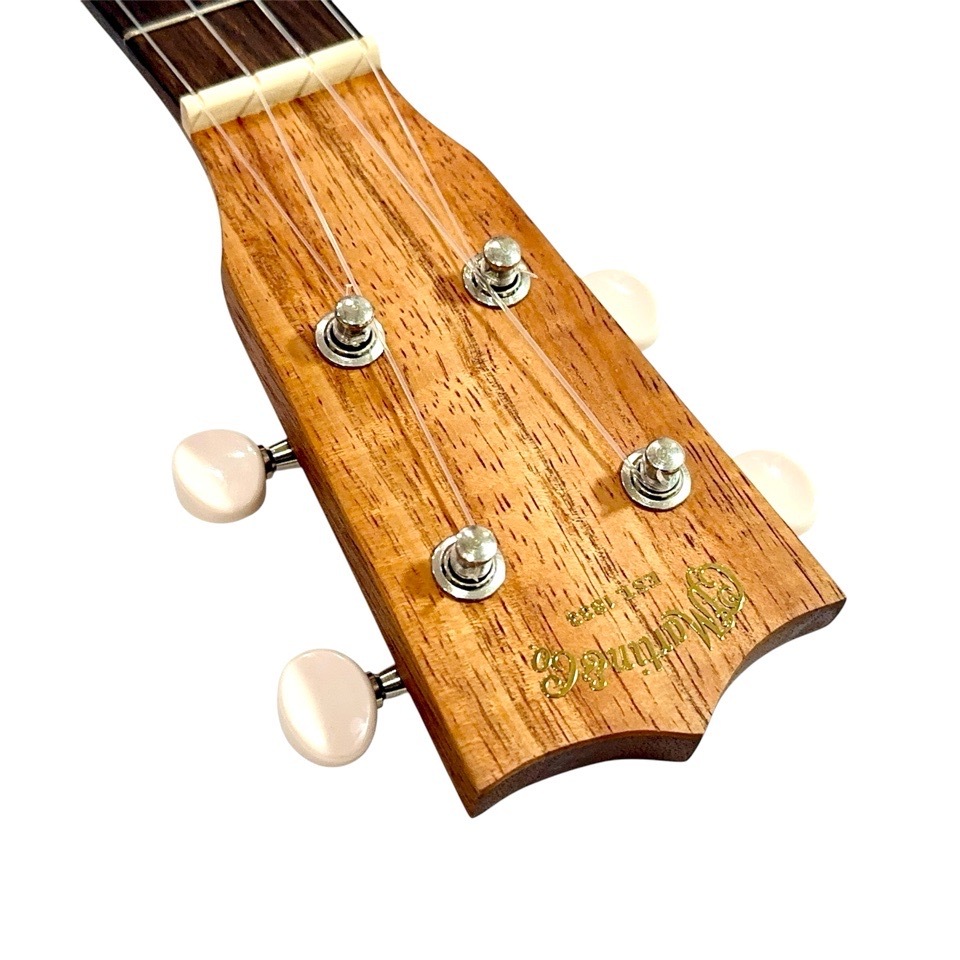 MartinC1K #38200 󥵡ȥ