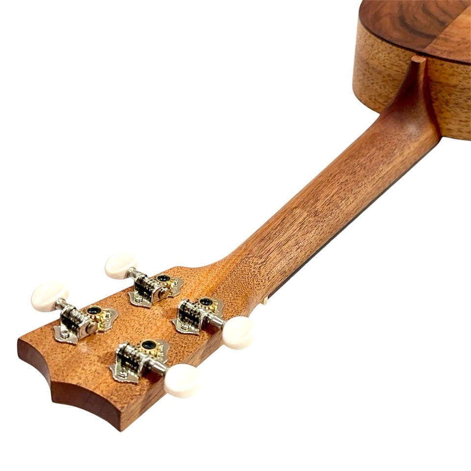 MartinC1K #38200 󥵡ȥ