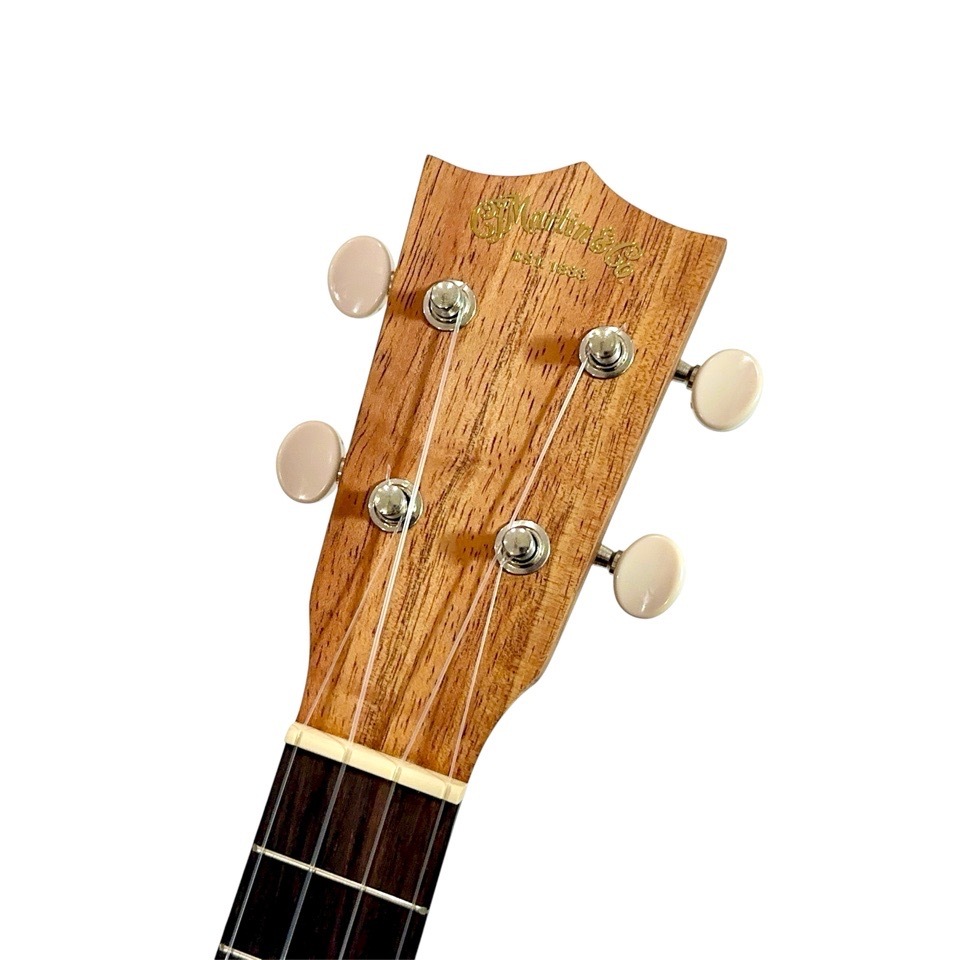 MartinC1K #38200 󥵡ȥ