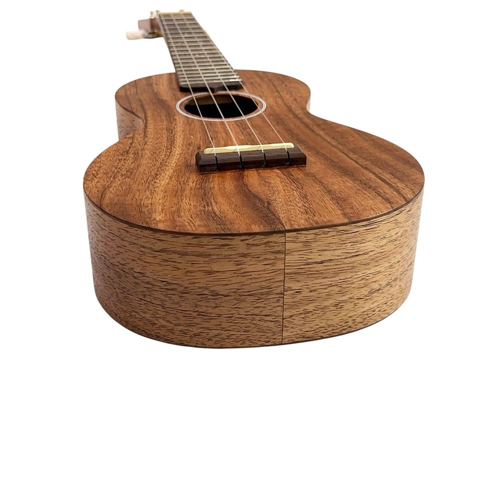 MartinC1K #38200 󥵡ȥ