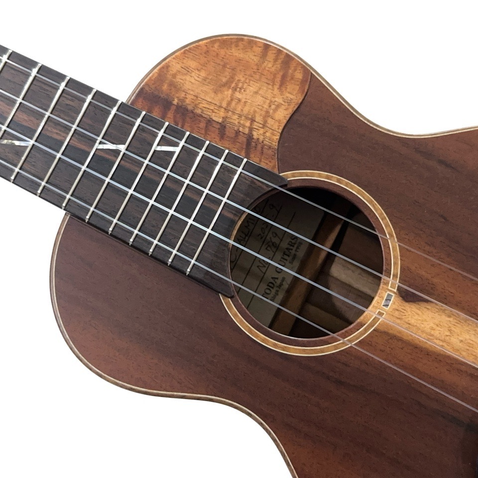 TODA GuitarsVC ALL MILO No.769 󥵡ȥ