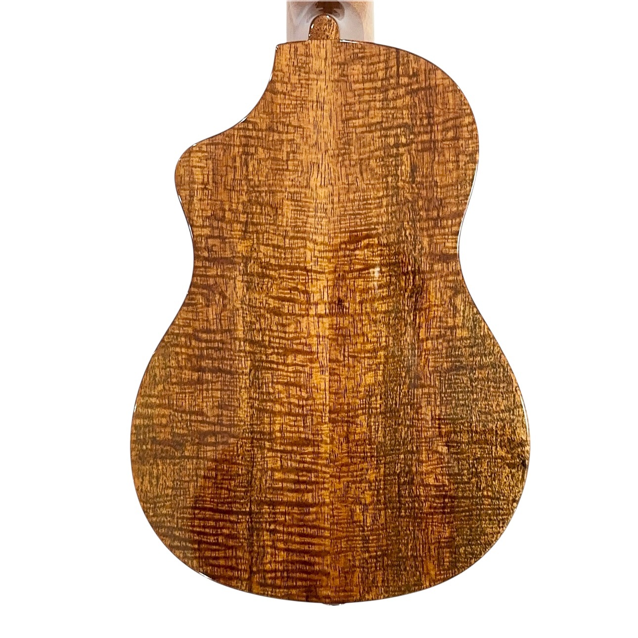 ��KIWAYA��KPC-F HKC/PU ���󥵡��ȥ�����