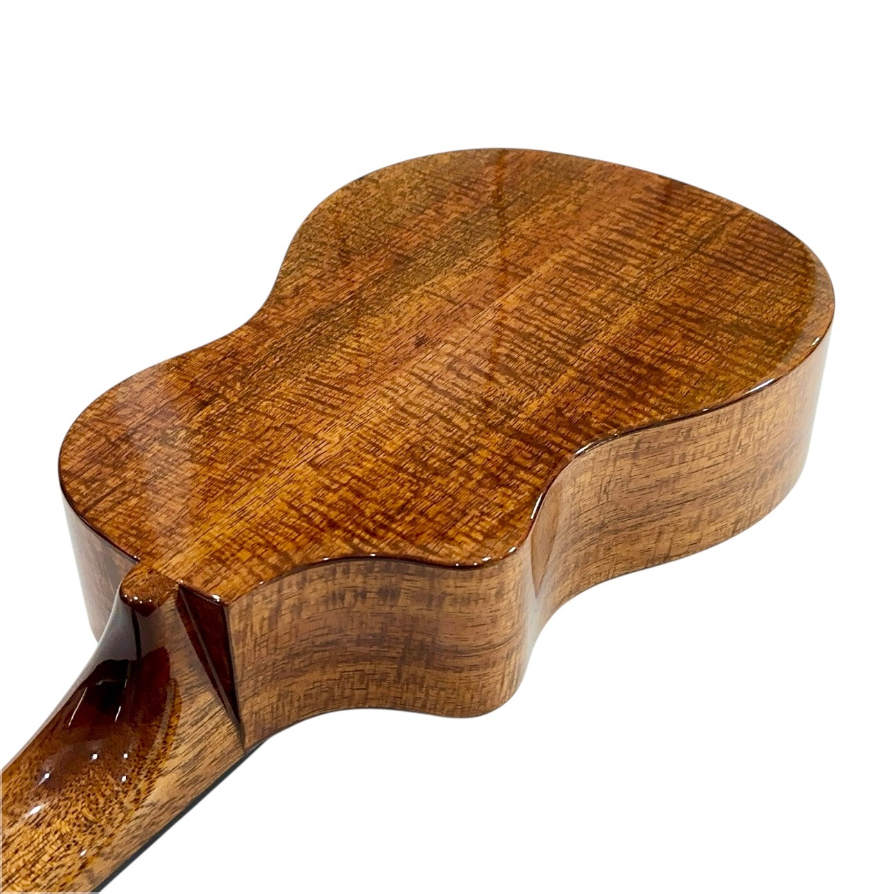 ��KIWAYA��KPC-F HKC/PU ���󥵡��ȥ�����