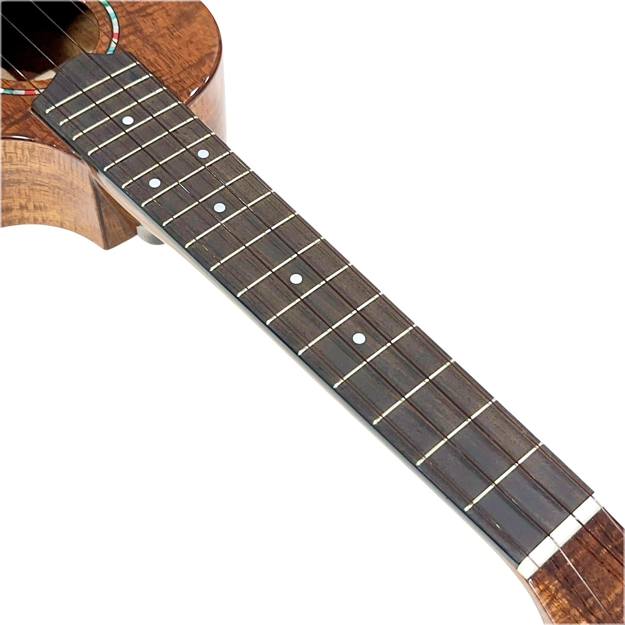 ��KIWAYA��KPC-F HKC/PU ���󥵡��ȥ�����