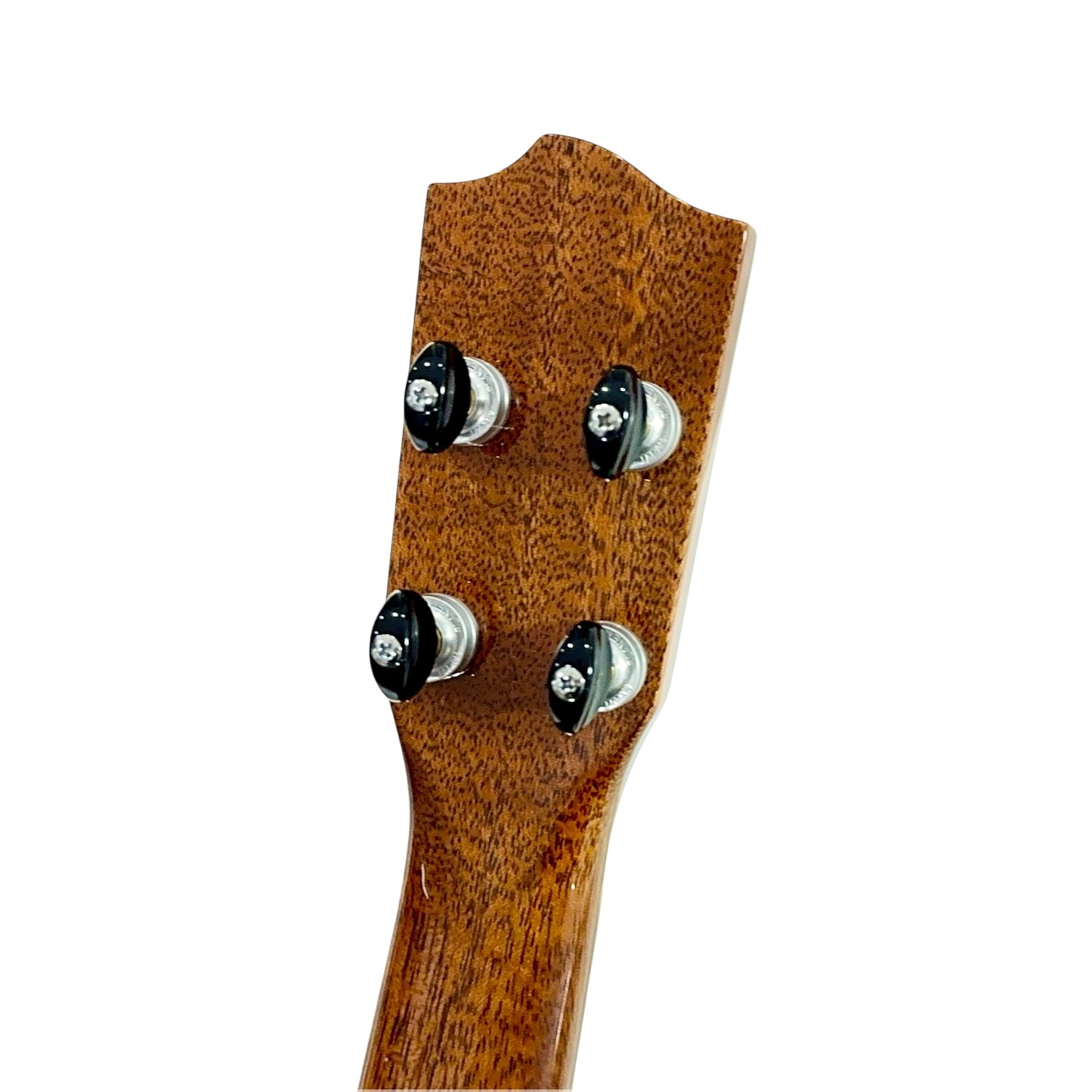 ��KIWAYA��KPC-F HKC/PU ���󥵡��ȥ�����