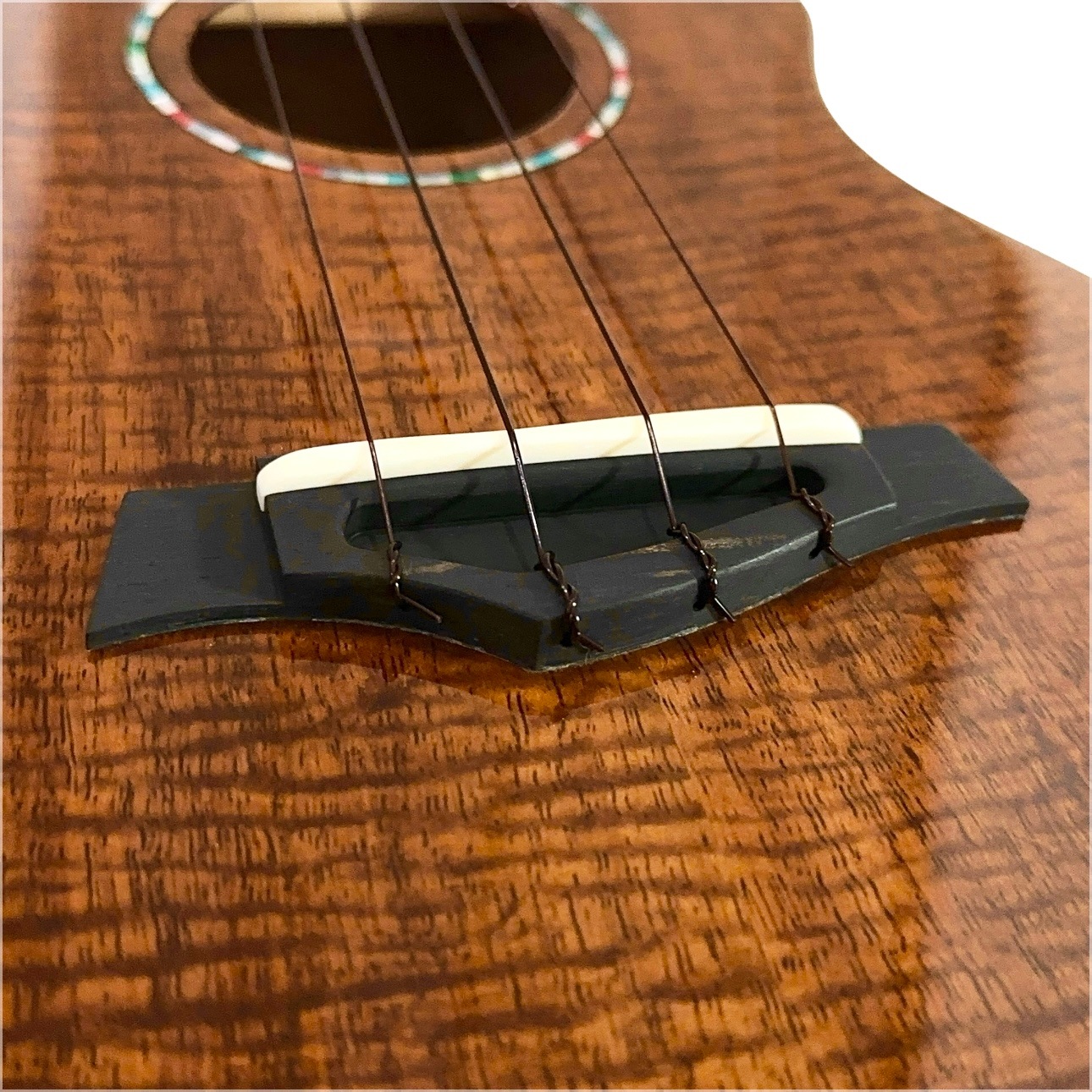 ��KIWAYA��KPC-F HKC/PU ���󥵡��ȥ�����