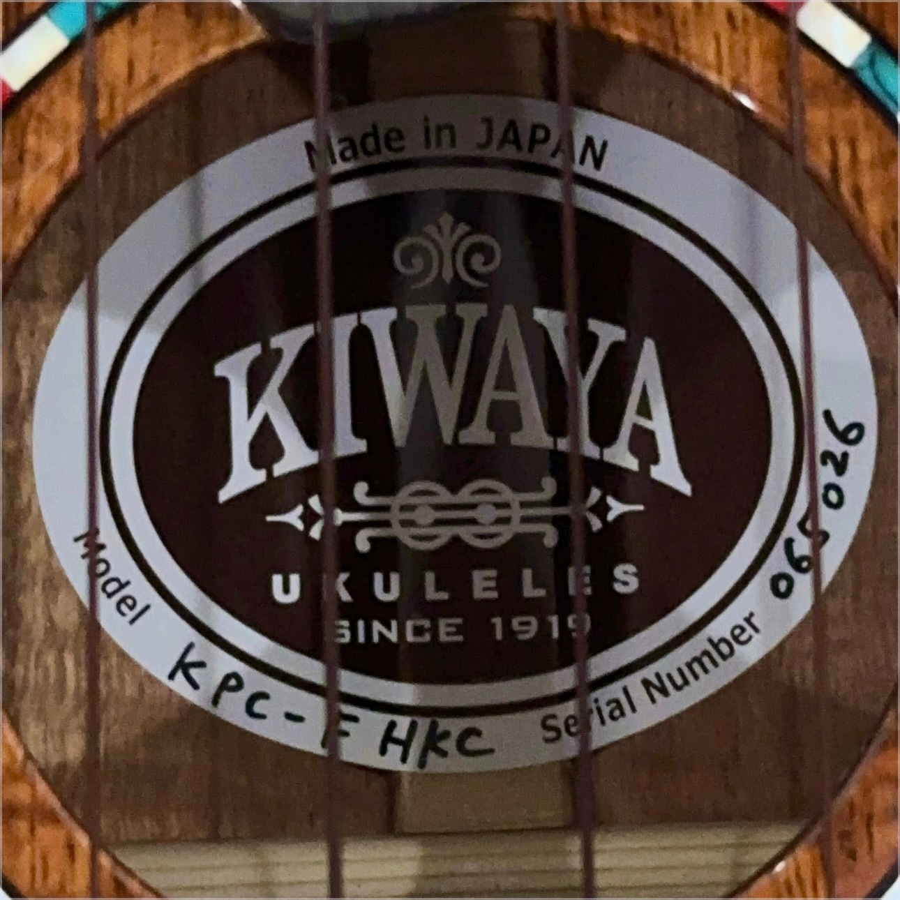 ��KIWAYA��KPC-F HKC/PU ���󥵡��ȥ�����