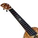 ��Purity Ukulele��H-056 �ϡ��ե�����
