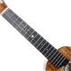 ��Purity Ukulele��H-056 �ϡ��ե�����