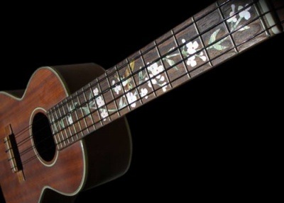 ڥƥåۻ ĥ꡼֡饤 ϥߥ󥰥С